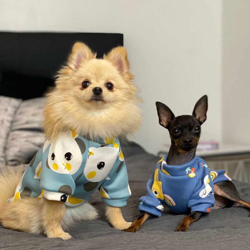 Xs Dog Clothes for Small Dogs  - Winter Clothing For Toddlers recensie en prijs