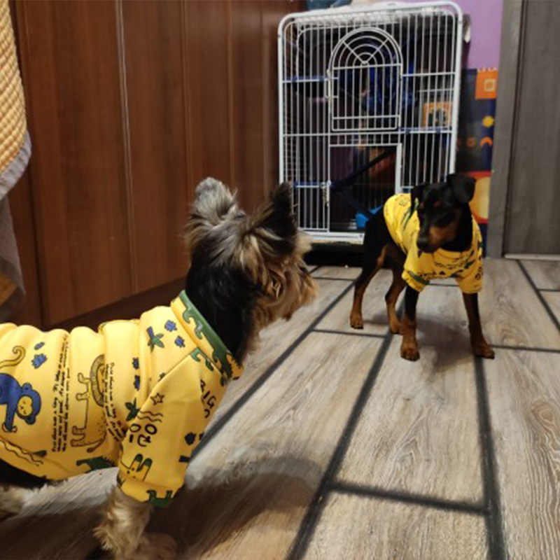 Xs Dog Clothes for Small Dogs  - Winter Clothing For Toddlers recensie en prijs