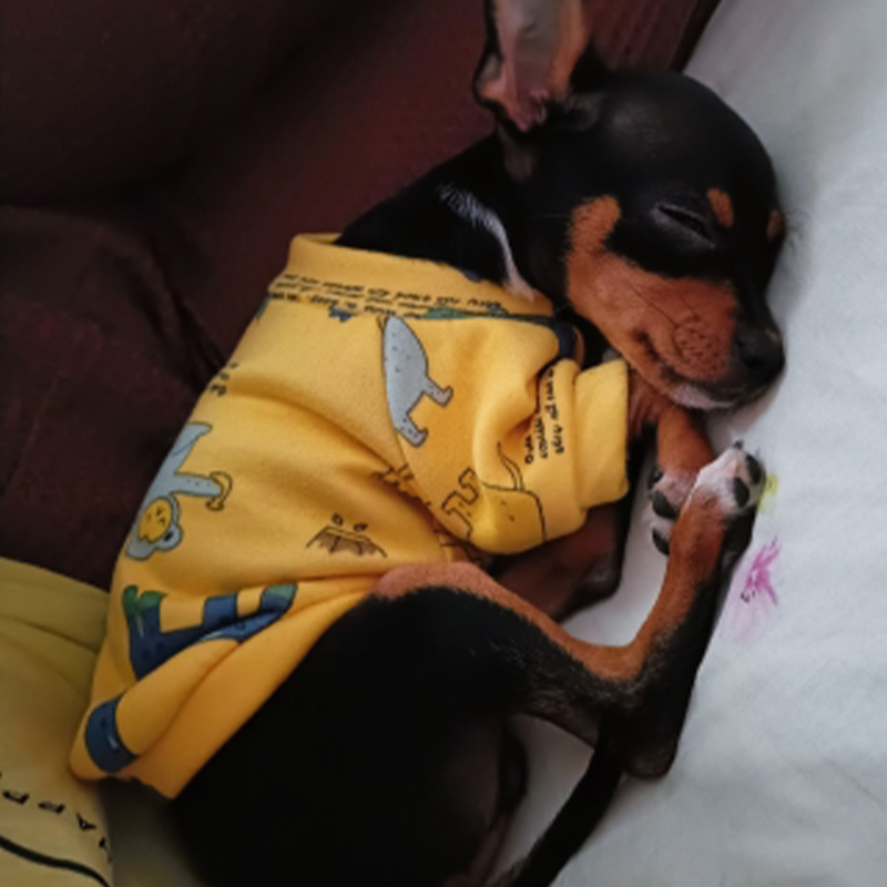 Xs Dog Clothes for Small Dogs  - Winter Clothing For Toddlers recensie en prijs