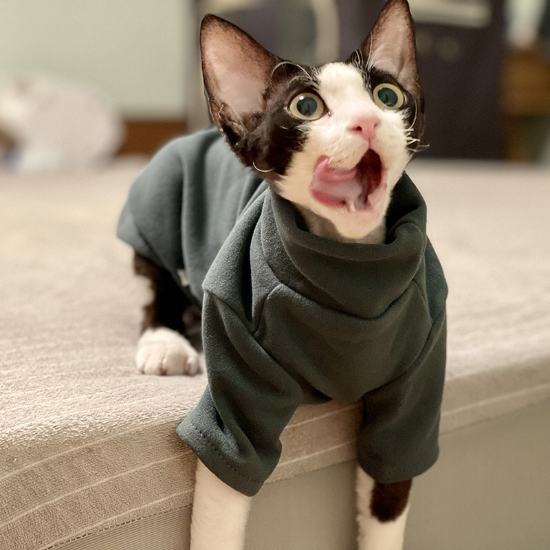 Sphynx Cat Clothes Baby Soft C - Winter Clothing For Toddlers recensie en prijs