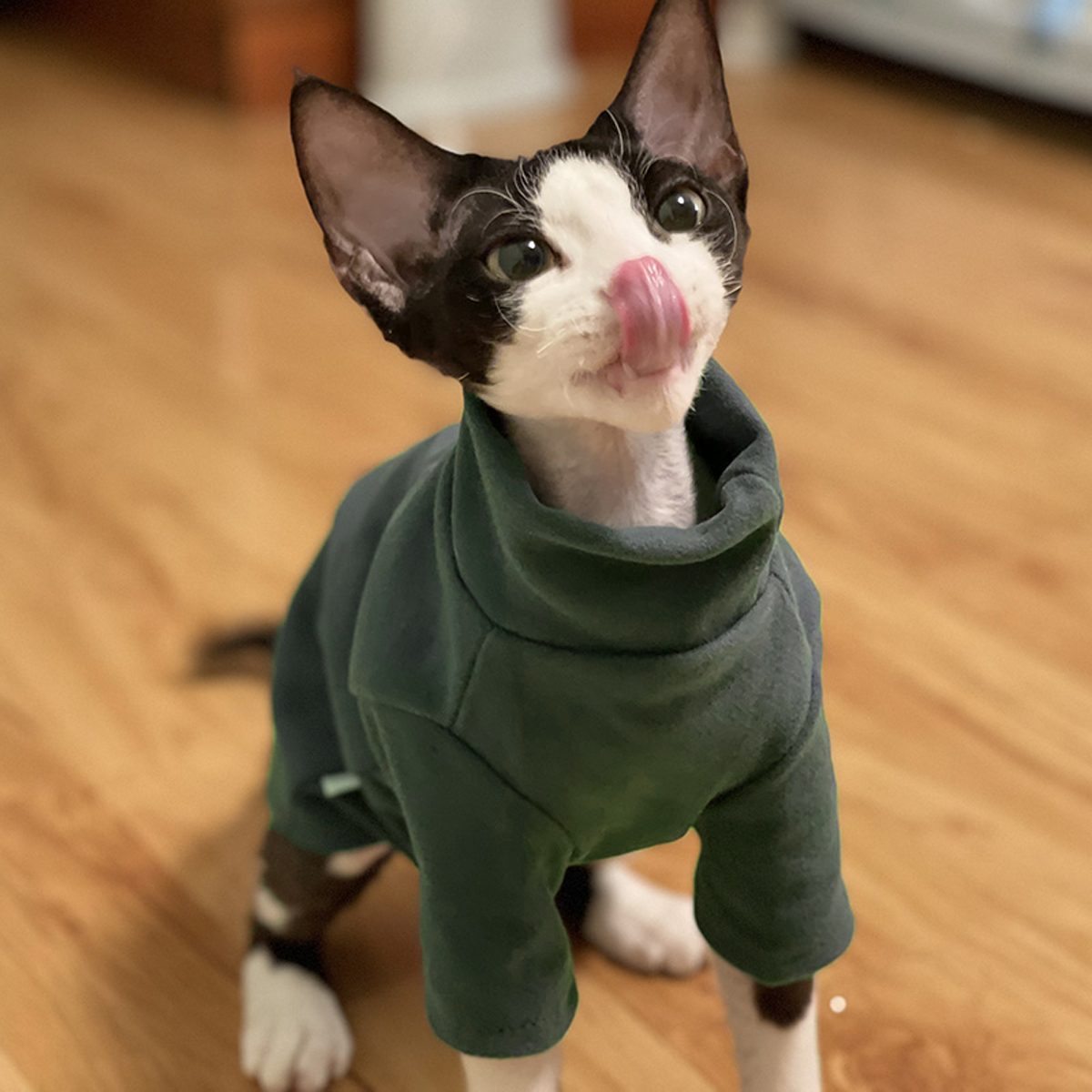 Sphynx Cat Clothes Baby Soft C - Winter Clothing For Toddlers recensie en prijs