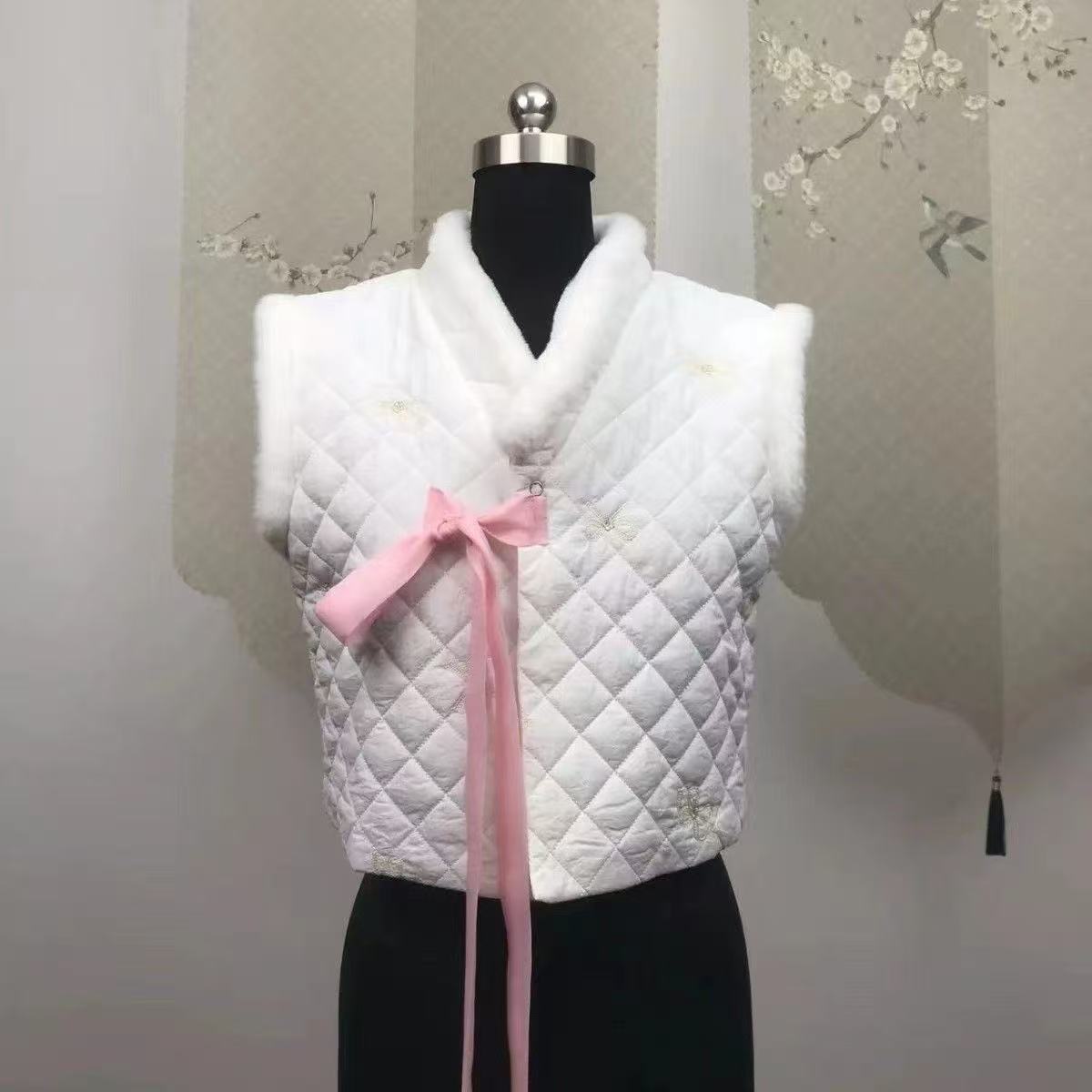 Winter Hanbok Vest Women's Tra - Winter Clothing Looks recensie en prijs
